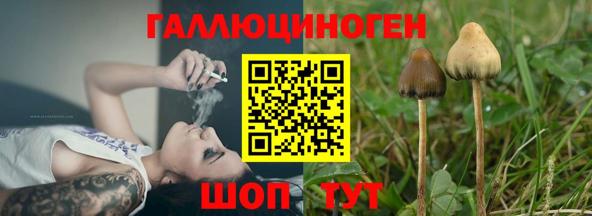 Ишим  Галлюциногенные грибы GOLDEN TEACHER  Вход с VPN  Галлюциногенные грибы MAGIC MUSHROOMS 