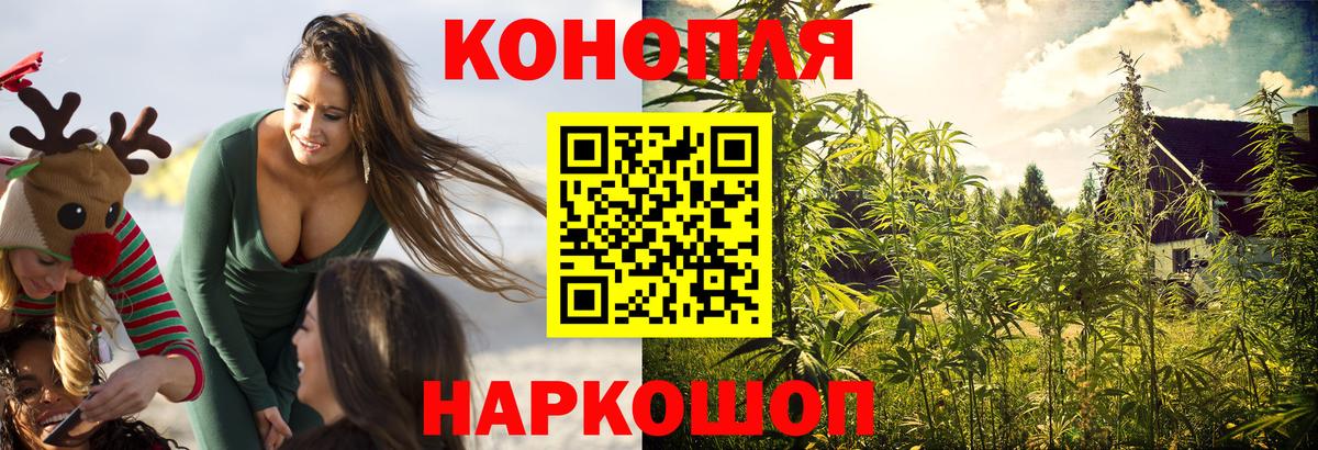 Каннабис OG Kush Ишим